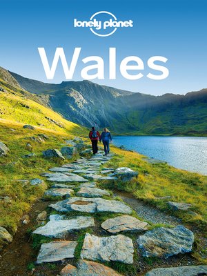 Wales Travel Guide - ebook